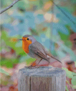Diamond Paintings