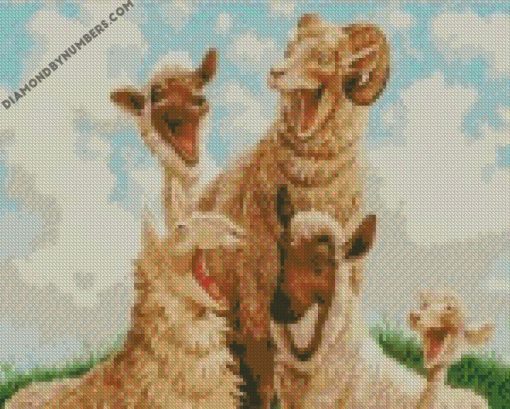 Funny Sheep diamond painting