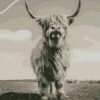 Highland Cattle diamond painting