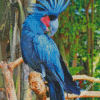 diamond paintings