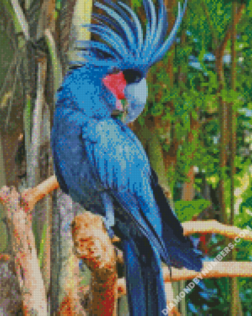 diamond paintings