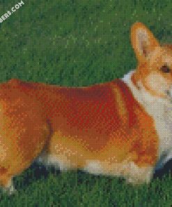 Pembroke Welsh Corgi diamond paintings
