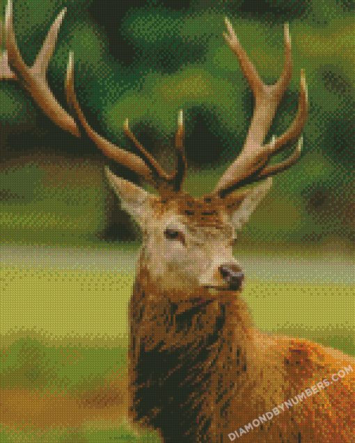 Diamond Paintings