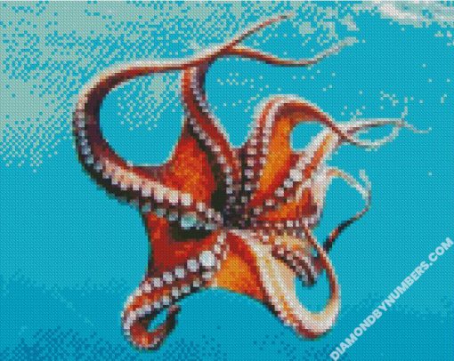diamond paintings