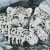 Snow White Leopard Cubs diamond paintings