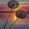 Sunset Dandelion diamond paintings