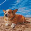 Welsh Corgi Dog diamond painting