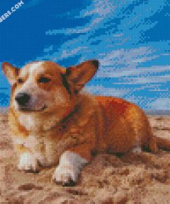 Welsh Corgi Dog diamond painting