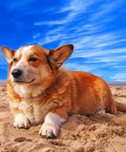Welsh Corgi Dog - 5D Diamond Painting