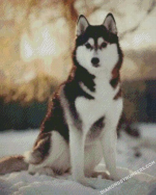 diamond painting