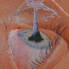 aesthetic eyes diamond paintings
