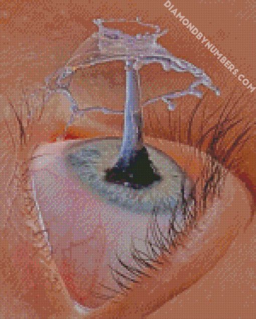 aesthetic eyes diamond paintings