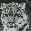 diamond painting