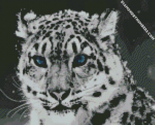 diamond painting