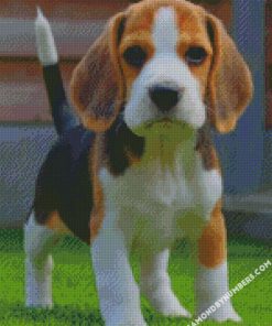baby Beagle diamond paintings