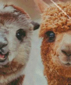 beautiful llamas diamond painting