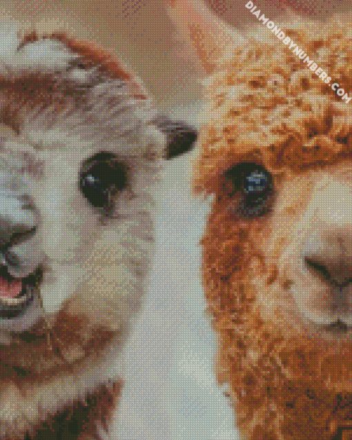 beautiful llamas diamond painting