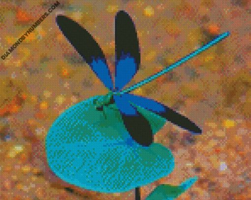 diamond paintings