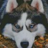 diamond painting