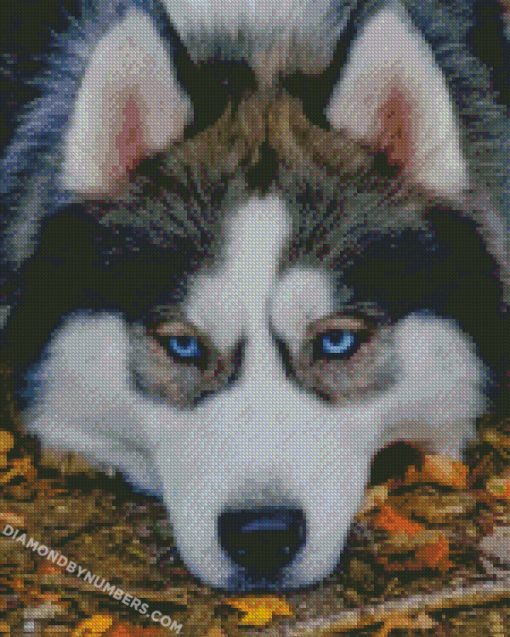 diamond painting