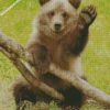 cute grizzly bear diamond paintings