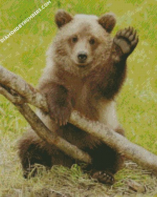 cute grizzly bear diamond paintings