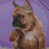 diamond paintings