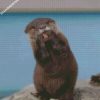 funny Asian small clawed otter diamond paintings
