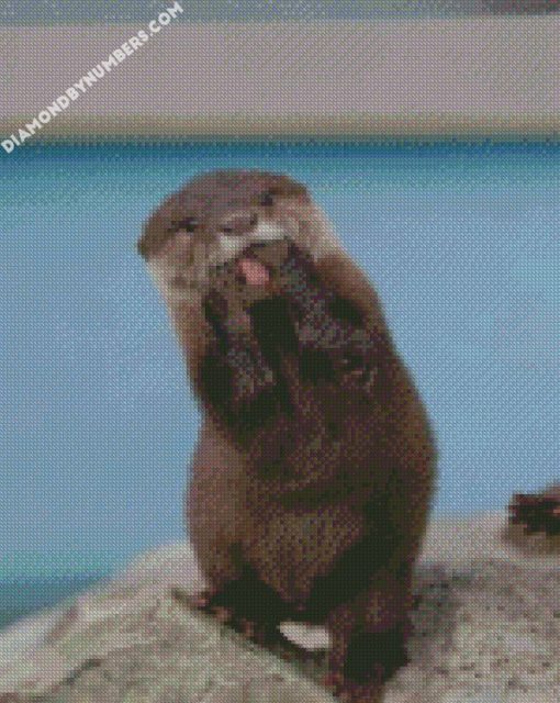 funny Asian small clawed otter diamond paintings