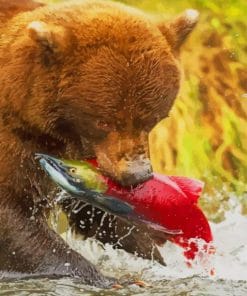 Grizzly Bear Catching Salmon – 5D Diamond Painting