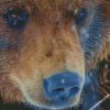 grizzly bear diamond painting
