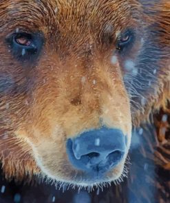 Grizzly Bear – 5D Diamond Painting