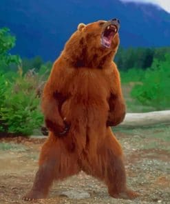 Grizzly Bear Standing – 5D Diamond Painting
