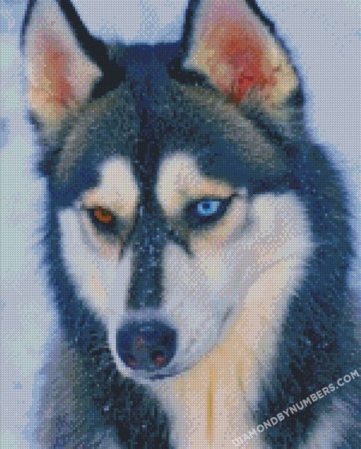 diamond painting