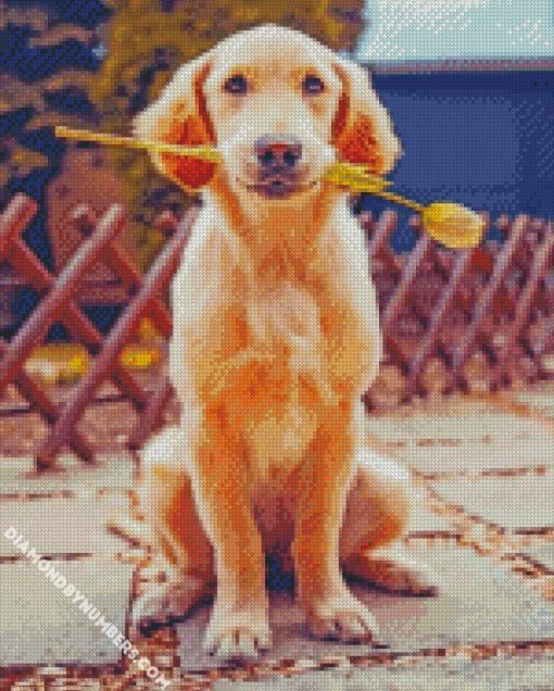 diamond painting