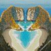 diamond paintings