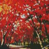red maple leaves diamond paintings
