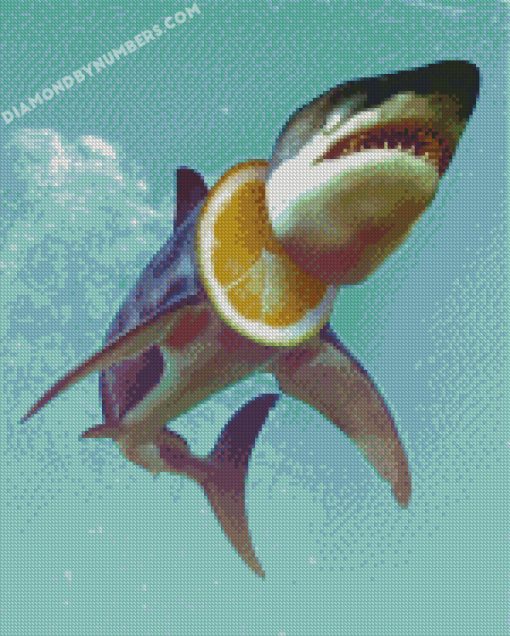 diamond painting