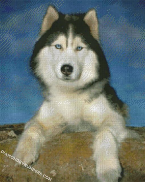 diamond painting