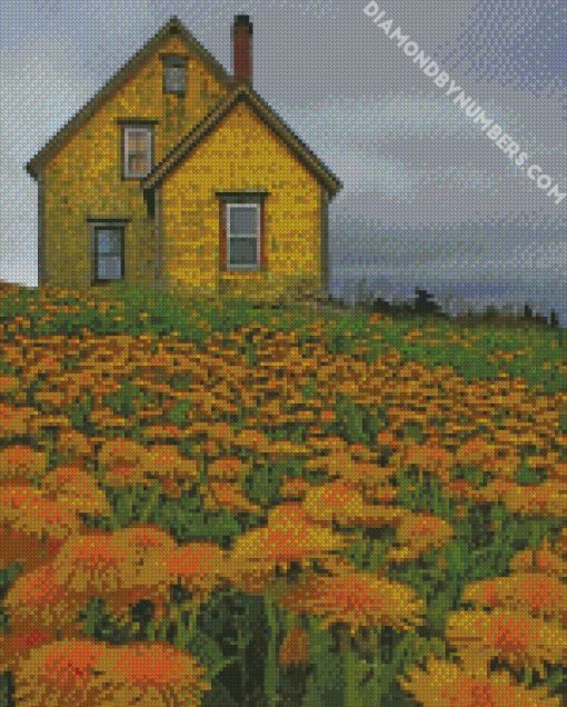 yellow house nova scotia diamond painting