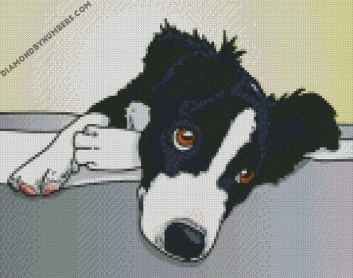 Border Collie illustration diamond paintings