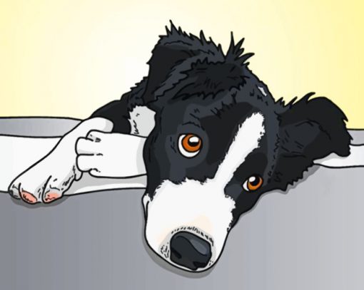 Border Collie Illustration Paint by numbers