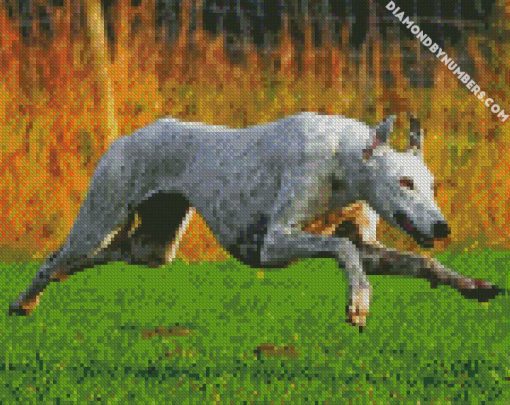 Greyhound running diamond paintings