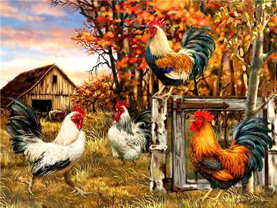 Peinture-par-num-ro-complet-carr-perceuse-Animal-poulet-3D-broderie-point-de-croix-coq-cadeau-1.jpg_640x640_f82e9de7-9481-44ce-bddb-a77625aac953-1 Cocks On Farm Paint by numbers