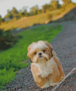 diamond painting