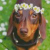 adorablle sausage dog diamond paintings