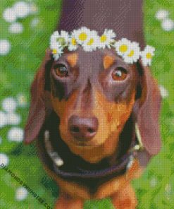 adorablle sausage dog diamond paintings