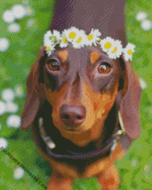adorablle sausage dog diamond paintings