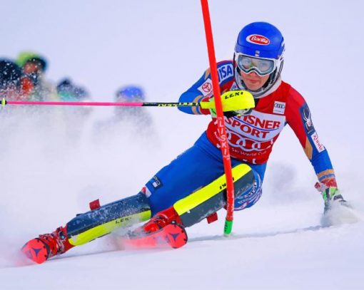 Aesthetic Alpine Skiing Paint by numbers