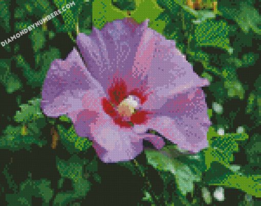 diamond painting